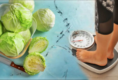 10 Manfaat Sayur Kubis Untuk Kesehatan Tubuh,Salah Satunya Menjaga Berat Badan