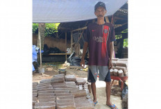 Warga Wukirsari Musi Rawas Raup Cuan dari Limbah Kayu dan Gabah Padi