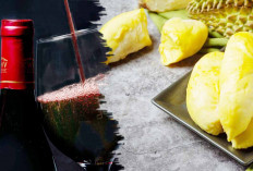 Nikmatnya Buah Durian Jangan  Diadu dengan Minuman Ini, Akibatnya Fatal 