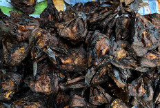 Ikan Salai Sekayu Diburu Warga Harganya Tembus Rp250 Ribu Per Kg 