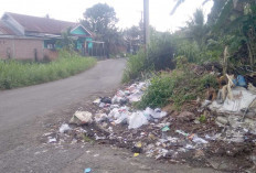 Bau dan Genangan Air, Dampak Tumpukan Sampah di Jalan Sejahtera