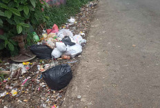 Jalan Junaidi Jadi Tempat Pembuangan Sampah, Lurah Watervang Lubuk Linggau Angkat Bicara