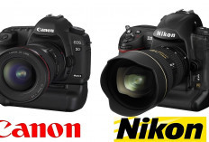 Intip Bocoran Spesifikasi Kamera Canon vs Nikon, dalam Persaingan Abadi di Dunia Fotografi