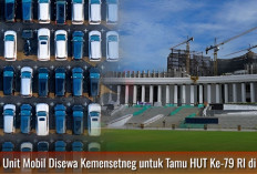 ﻿Ada 1000 Unit Mobil Disewa Kemensetneg untuk Tamu HUT Ke-79 RI di IKN 2024 