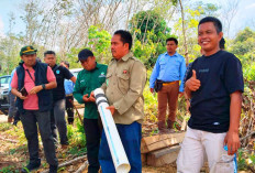 Sudah Ada 3 Korban, Kades Tri Anggun Jaya Musi Rawas Lakukan ini untuk Hentikan Konflik Gajah