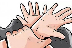 Lansia di Musi Rawas Tega Setubuhi ODGJ di Kebun Sawit, Tersangka Mengaku Karena Khilaf 