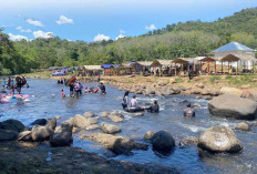 Wisata Ayo Jeneh Ulu Malus Lubuk Linggau, Surga Tersembunyi di Tengah Alam Lubuk Linggau