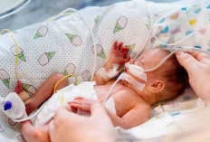 Bayi Prematur Boleh Konsumsi Multivitamin?