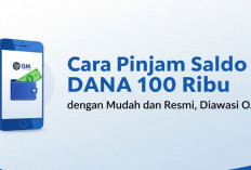 Cara Pinjam Saldo DANA 100 Ribu dengan Mudah dan Resmi, Diawasi OJK