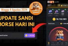 Baru Sandi Harian Hamster Kombat Hari Ini 4 Agustus 2024, Dapatkan hingga Jutaan Koin Gratis 