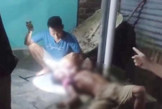 Warga Amankan Pria di Lubuk Linggau yang Mencuri Hingga 200 Kilogram Alpukat