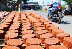 Pecinta Sambal Terasi Wajib Tahu! Bumbu Dapur Legendaris yang Berawal dari Upeti