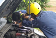 Petugas Damkar Kota Lubuk Linggau Evakuasi Ular di Kap Mobil Milik Warga, Ini Kronologisnya