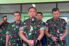 130 Perwira Tinggi TNI Dimutasi Panglima TNI, Pangdam hingga Pangkogabwilhan