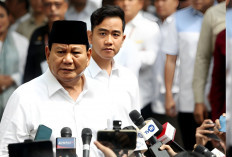 3 Tokoh Sumsel Bakal Masuk Susunan Kabinet Prabowo Subianto-Gibran 2024-2029, Ini Daftar Namanya