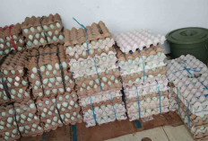 Telur Asin Rebus Tahan Lama, Cocok untuk Stok Lauk saat Ramadhan