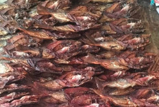 Ikan Salai Sekayu Laris, Lais Jadi Primadona 