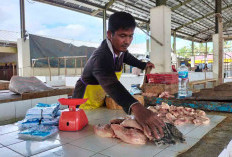 Harga Daging Ayam di Musi Rawas Masih Stabil, Bertahan Rp38 Ribu per Kilogram