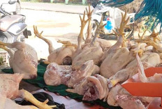 Harga Daging Ayam Stabil, Pedagang di Lubuk Linggau Sebut Karena Program MBG Masih Libur