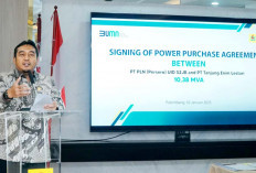 PLN dan PT Tanjungenim Lestari Pulp and Paper Kolaborasi Perjanjian Jual Beli Tenaga Listrik 10.38 MVA