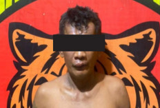 Kejadian di Lubuk Linggau Istri Dipukuli Anak Kandung Diperkosa Berulang Kali