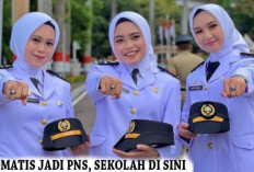 29 Sekolah Kedinasan di Indonesia Lulusannya Langsung Jadi PNS, 8 Institusi Resmi Dibuka!