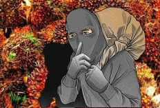 Pria Muratara yang Diduga Mencuri Sawit Perusahaan Sudah Dipanggil Polisi 