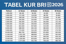 KUR BRI 2026 Terbaru: Ini Cara Daftar Online, Syarat dan Tips Cepat Disetujui
