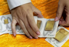 Harga Emas Antam Meledak? Cek Daftar Lengkap Semua Ukuran Hari Ini