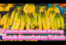 Pejuang Diet Harus Tahu, Daftar 6 manfaat Pisang untuk Kesehatan