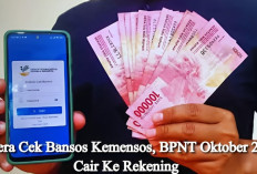 Segera Cek Bansos Kemensos, BPNT Oktober 2024, Cair Ke Rekening 