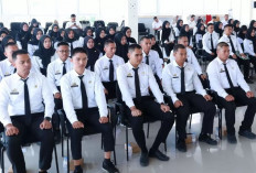 Prediksi CPNS 2026 Dibuka, Jumlah Formasinya Bikin Penasaran