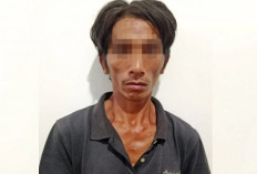 Ditinggal Istri Kerja Petani di Muratara Diduga Cabuli Anak Tetangga