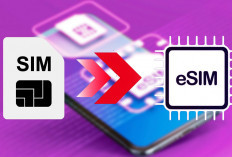 Aktivasi eSIM di Android dan iPhone, Bisa Gunakan Lebih dari 2 Kartu dalam 1 Perangkat 
