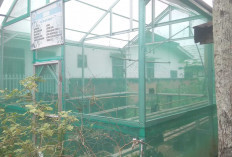 Kelompok Tani sebagai Wadah Meningkatkan Kesejahteraan dan Kemandirian Warga