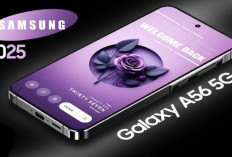 Turun Lagi! Harga Samsung A56 5G Terbaru Oktober 2025 Beserta Spesifikasinya