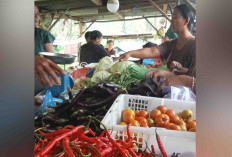 Harga Cabai di Pasar Tradisional di Musi Rawas Mulai Turun 