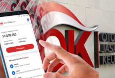 Awas Salah Pilih! 6 Pinjol Legal yang Sudah Terdaftar di OJK