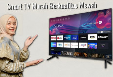 Smart TV Murah Berkualitas Mewah, Ada 6 Pilihan Smart TV Layar 50 Inch Terbaik di Indonesia 2024