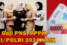 Gaji PPPK, PNS, TNI dan Polri 2024 Naik, Ini Rincian dan Besarannya 