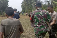 Balita di Musi Rawas Tenggelam di Irigasi 