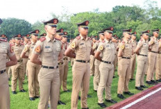 Pilih Sekolah Kedinasan atau CPNS Reguler? Simak Dulu Fakta Mengejutkannya