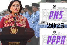 Sebesar Ini Gaji PNS dan PPPK 2025 yang Disahkan Sri Mulyani