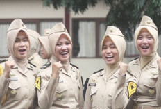 Rahasia Jadi CPNS Tanpa Tes, Ini Cara Legal Masuk PNS Langsung Lewat Sekolah Kedinasan, Gratis Dijamin Lulus