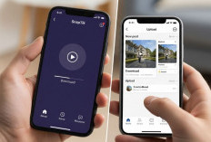 Pakai SnapTik Buat Reupload Video? Cek Dulu Risiko dan Hukumnya