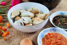 Gurih Kenyal Si Siput Gonggong Cukup Direbus Kuliner Primadona dari Lautan Tropis 