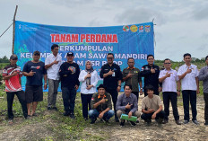 Bank Sumsel Babel Cabang Muara Rupit Mitra Pemkab Muratara Sukseskan Program Peremajaan Sawit Rakyat