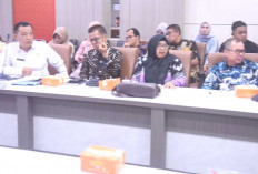 Demi Tingkatkan Produksi Pangan, Tahun 2025 Sumsel Target Cetak Sawah 150.000 Hektar