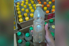 Rusip Bangka Diburu Warga, Rasa Khas Bikin Nagih