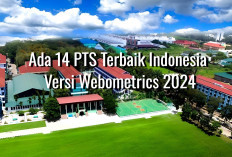 Ada 14 PTS Terbaik Indonesia dengan Versi Webometrics 2024, Nomor 1 Telkom University